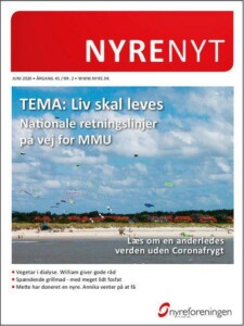 Nyrenyt 2 2020