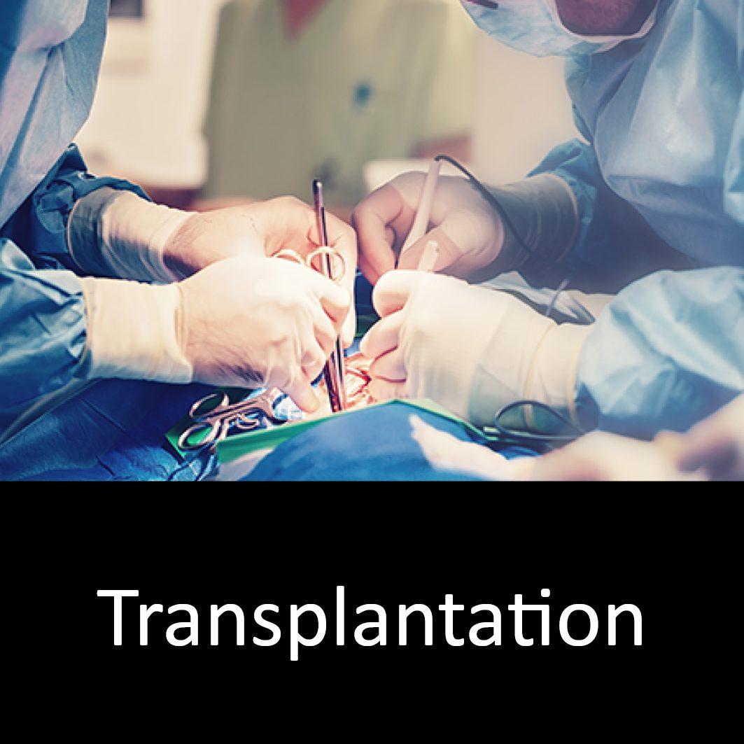 Nyretransplantation